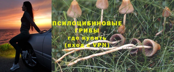 экстази Абаза